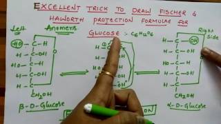 Fischer amp Haworth projection formulae for Glucose Biomolecules class 12 chemistry [upl. by Aicatsanna]