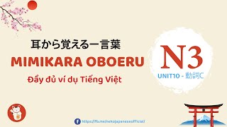 MIMIKARA N3 TỪ VỰNG BÀI 10 716795 Đầy đủ ví dụ Tiếng Việt [upl. by Hana]