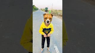 Dog 🐶 ko￼ biscuit 🍪 Do 😂 comedy youtubeshorts shorts funny shortfeed trending tr2world [upl. by Enniroc580]