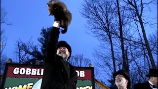 Punxsutawney Phil makes Groundhog Day prediction More winter or early spring [upl. by Moriah]