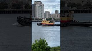 Tugboat sails up Mississippi River past downtown New Orleans neworleans tugboat mississippiriver [upl. by Erdnua175]