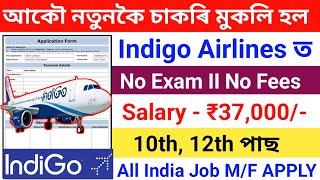 indigo Airlines New Recruitment 2024Indigo Airlines Job Online ApplyHow To Apply Indigo Airlines [upl. by Dnalrag]