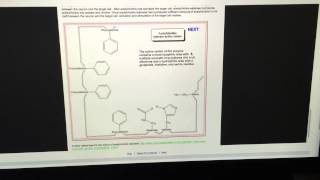 Basic function of the acetylcholinesterase enzyme [upl. by Naloc827]