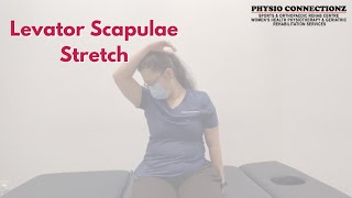 Levator Scapulae Stretch [upl. by Roana]