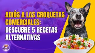 ALIMENTACIÓN NATURAL PARA PERROS  SUSTITUTOS A LAS CROQUETAS [upl. by Tips]