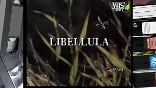 LIBELLULA [upl. by Nissensohn]