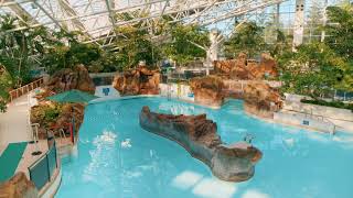 Discover Center Parcs Whinfell Forest [upl. by Annaed179]