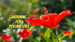 Gardening for Pollinators Attracting Bees and Butterflies [upl. by Oiliduab]