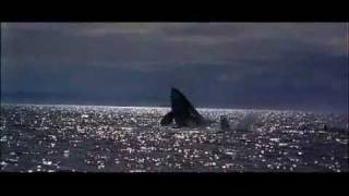 Free Willy Opening Credits [upl. by Wildon]