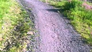 Green Watch Alloa Carron Valley mountain biking runway section [upl. by Nawud]