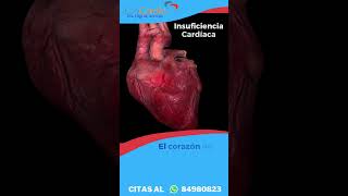 Conoce algunas enfermedades del corazón [upl. by Yelreveb]