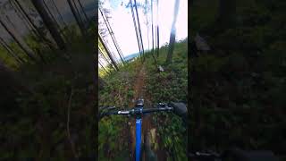 Mind MELTING Trail SO GOOD [upl. by Hadwin]