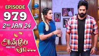 Anbe Vaa Serial  Episode 979  2nd Jan 2024  Virat  Delna Davis  Saregama TV Shows Tamil [upl. by Olotrab615]