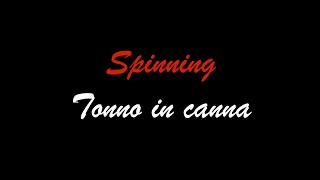 66  SPINNING  Tonno in canna [upl. by Riella]