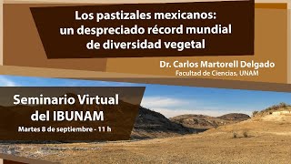 Los pastizales mexicanos un despreciado récord mundial de diversidad vegetal [upl. by Clarabelle613]