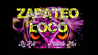 Guaracha Mix Zapateo Loco Dj Pol Matarile Mix [upl. by Dom]