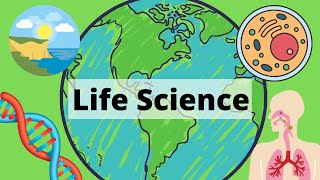 A Year of Life Science in 3 Minutes [upl. by Aivekal475]