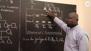 Cours  Terminale S1ampS2  SVT Résumé de cours  Lhérédité humaine  La Myopathie  Suite 4 [upl. by Rramo]