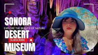 quotArizonaSonora Desert Museum A MustVisit Destinationquottucsonarizona desert wildlife vlog usa [upl. by Enirehtakyram]