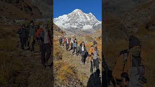 Annapurna Base Camp Trek shorts abctrek [upl. by Means]