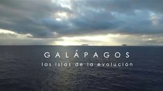 Las Islas GalÃ¡pagos  Trailer  Nat Geo [upl. by Etessil369]