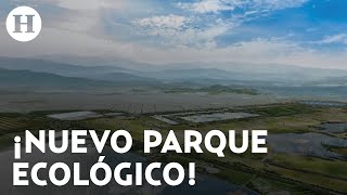 Parque Ecológico Lago de Texcoco ¿cuándo abre y qué actividades tendrá [upl. by Lyndsay]