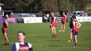 LVFNL RD18 2024 Inglewood vs Marong [upl. by Treboh251]