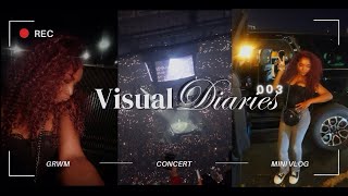 VISUAL DIARY 003  grwm vlog durk birthday bash amp more [upl. by Tneicniv]