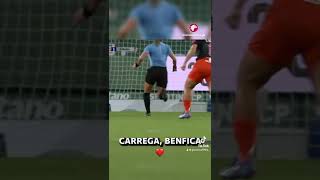 DE VOLTA À NORMALIDADE NO FUTEBOL FEMININO ⚽ Benfica Glorioso FutebolFeminino shorts [upl. by Kiran396]