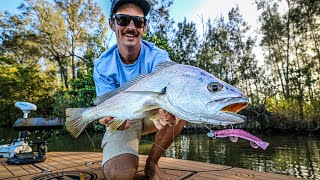 Estuary Fishing SEQ  Jewfish On SWIMPRAWNS [upl. by Arok694]