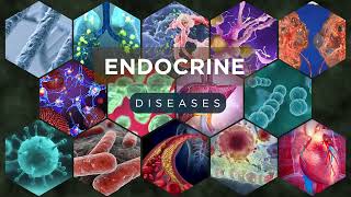 Endocrine Diseases Explained – Causes Symptoms amp Treatments [upl. by Ajram]