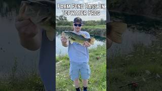 Farm Pond Bass on Topwater Frog topwater topwaterbassfishing bassfishing shorts pond froglure [upl. by Calia642]