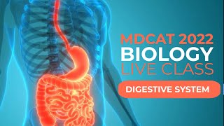 MDCAT 2022 Biology Live Class Digestive System Lecture1 mdcat [upl. by Berthe269]