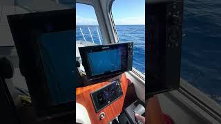 Impressive Fish Finding Technology on the 34 Lumacat [upl. by Anaiviv]