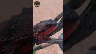 Animal transformation  Dragon scaled lizard animalshorts animals lizard dragon [upl. by Rubenstein644]