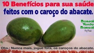 10 benefícios com o caroço do abacate Nunca mais os jogue fora paulobonsai [upl. by Anaiq]