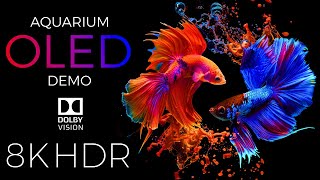 Aquarium OLED Demo HDR 8K Ultra HD Dolby Vision™ 60fps [upl. by Tracee]