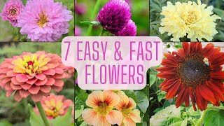 10 of the Easiest Annual Flowers to Start From Seed 🌸🌻🌿  Garden Answer [upl. by Kcirderfla]