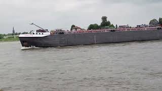 tankers EGALITE amp LONDEN on the RHINE  Rhein  Waal [upl. by Runkel]