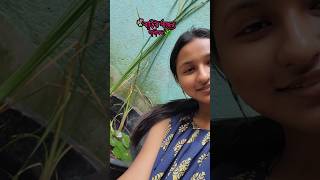 আমার পানীফল গাছে পানীফল হয়েছে🌿💙 shorts plant ytshorts viralvideo [upl. by Nennerb]