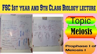 Topic Meiosis Prophase 1 of Meiosis 1 lecture delivered by Maam Samina Khuram 👍 [upl. by Trisha162]