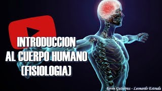 INTRODUCCIÓN AL CUERPO HUMANO FISIOLOGÍA [upl. by Jilly]