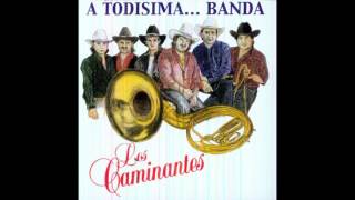 Los Caminantes A Todisima Banda CD Completo [upl. by Amilah]