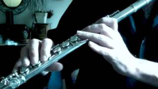 Flute Cover Van Morrisons Moondance [upl. by Niwdla]