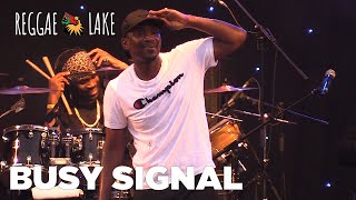 Busy Signal Live  Reggae Lake Festival Amsterdam 2019 [upl. by Nomae]