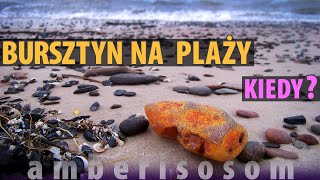 KIEDY BURSZTYN NA PLAŻY  czyli jak prognozować wysypy bursztynu [upl. by Aihsik]