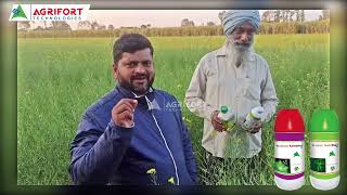 Farmer feedback about our products NutriFlax amp Knovertor from Lakhimpur in UttarPradesh agriculture [upl. by Templa]