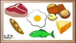 WCLN  Synthesis and Hydrolysis of Proteins  Biology [upl. by Ahtenek]