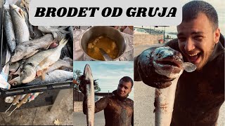 Brodet od Gruja i Podvodni Ribolov Recept za brodet i riba sa gredela [upl. by Ahen399]