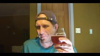 Mead Review  Meridian Hive  Blueberry Skinny Bee [upl. by Ettegdirb]